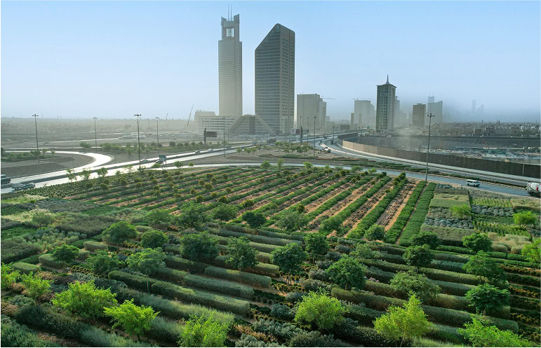 Sustainability